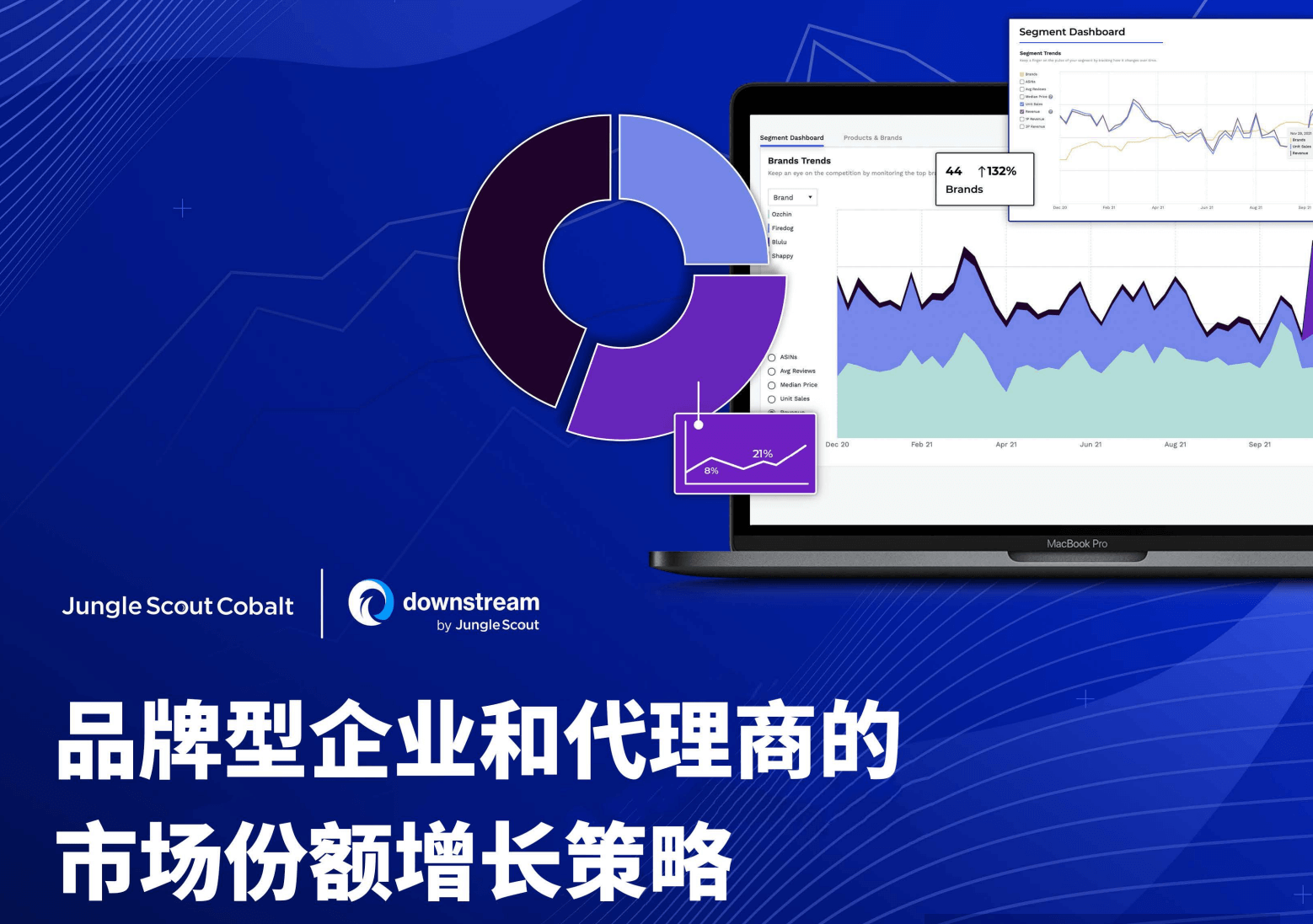 企业市场份额增长策略
